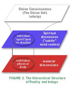 The Hierarchical Structure of Reality and beings